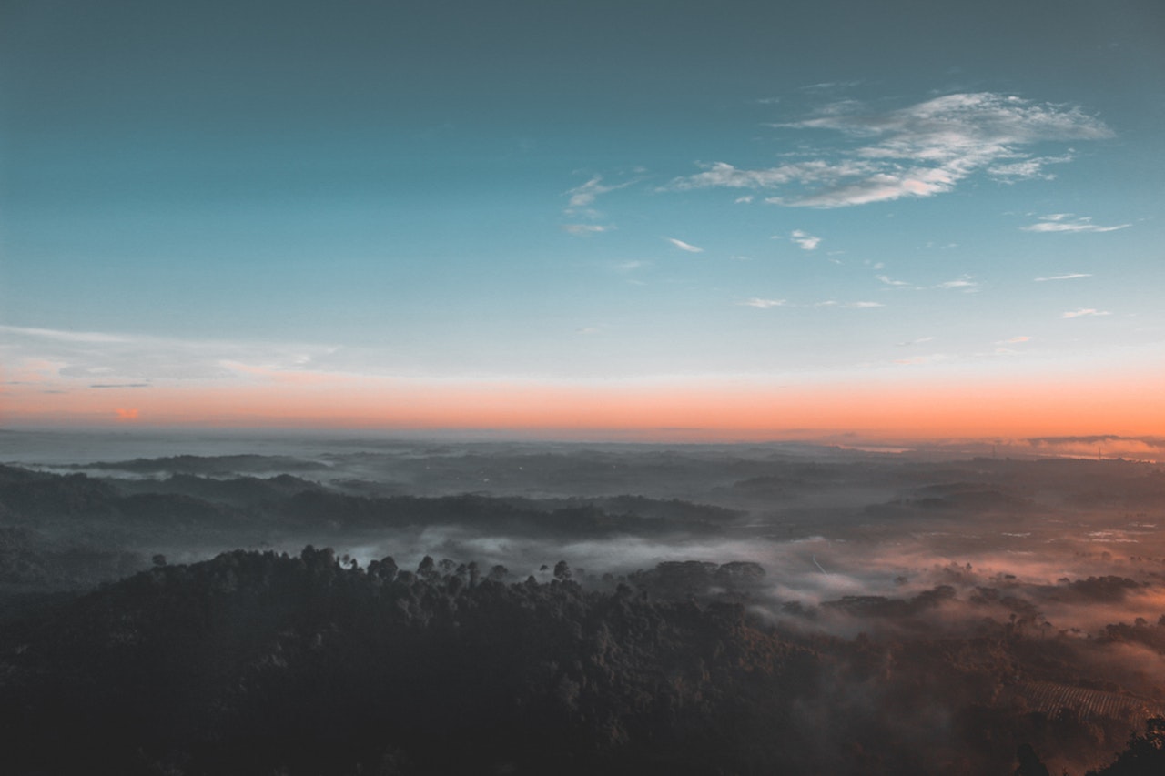 Aerial forest view representing a broad perspective on your financial future
